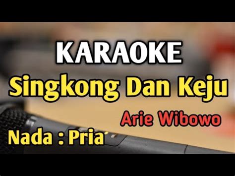 Singkong Dan Keju Karaoke Nada Pria Cowok Disco Music Arie