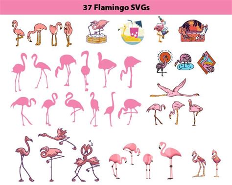 Halaman Unduh Untuk File Drinking Flamingo Clipart Yang Ke 20