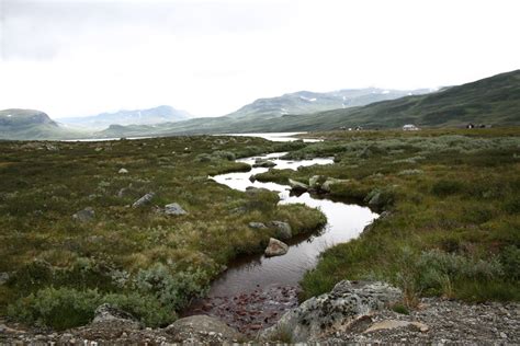 fjord 1 Free Photo Download | FreeImages