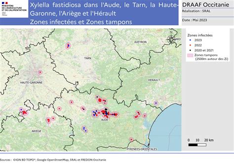 Xylella fastidiosa : point de situation en Occitanie (CROPSAV du 14/06