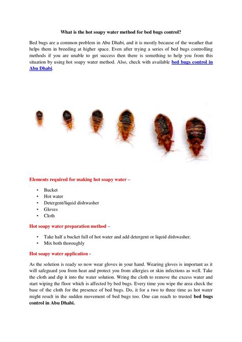 Ppt What Is The Hot Soapy Water Method For Bed Bugs Control