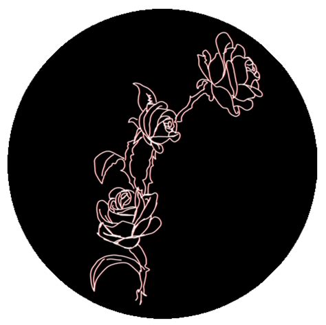 Malaspinaofficial Giphyupload Flower Rose Malaspina Sticker