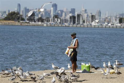 Nude Spots To Surf Spots Great Bay Area Beaches SFGate