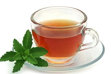 benefits of tulsi tea in winter season gives lot of health benefits ...