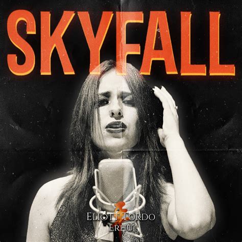 Skyfall Cover