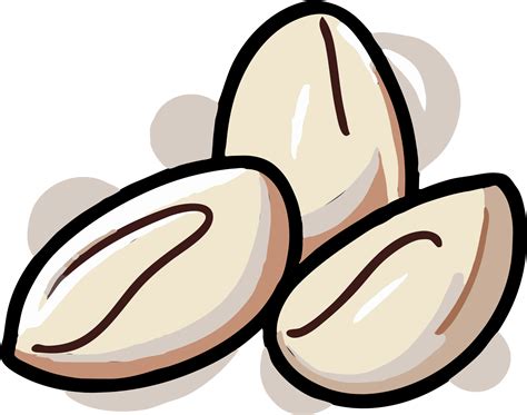 Pumpkin Seed Png Graphic Clipart Design 23623255 Png