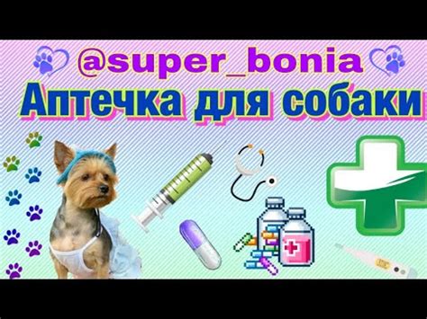 Аптечка для собаки - YouTube