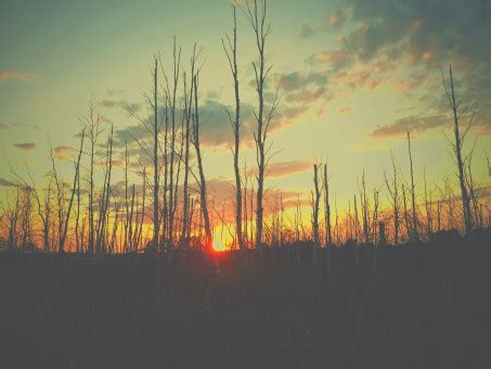 Fotos Gratis Naturaleza Horizonte Invierno Nube Amanecer Puesta