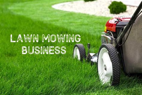 How To Start A Lawn Mowing Business In New Zealand Lawn Mowing New