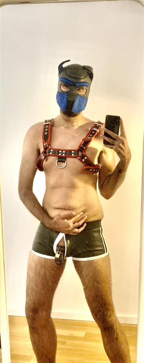 Locked Puppy Nudes PupPlay NUDE PICS ORG