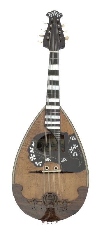 Mandolinenbauer Bund Deutscher Zupfmusiker E V