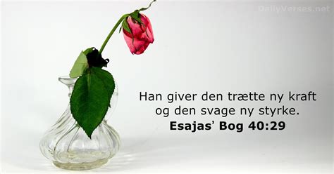 10 august 2023 Dagens bibelvers Esajasʼ Bog 40 29 DailyVerses net