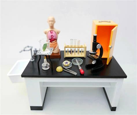 Dollhouse Science Experiments