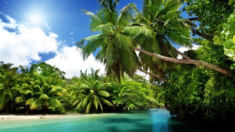 4k Tropical Wallpapers Top Free 4k Tropical Backgrounds Wallpaperaccess