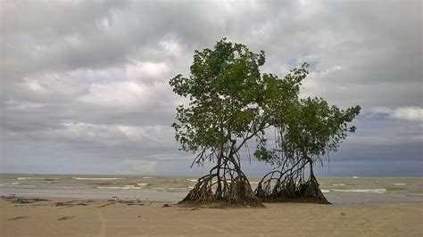 Voz Do Que Clama No Deserto O Amor Maior