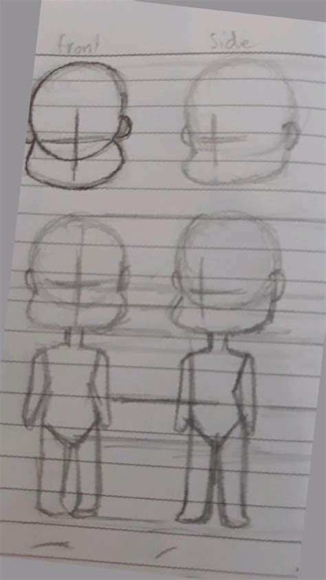 Chibi Proportions And Anatomy