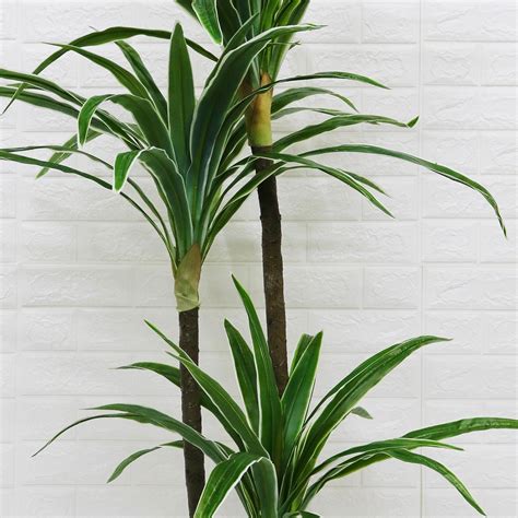 Изкуствено растение, Драцена без саксия, D4264, 165 см, зелено/бяло ...