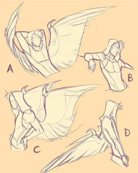 Wings Drawing Drawing Base Figure Drawing Drawing Drawing Anatomy