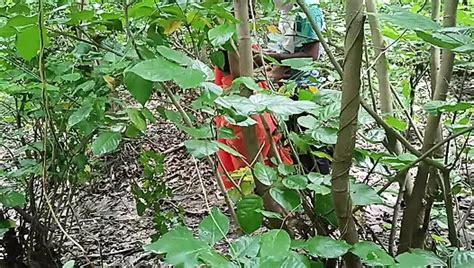 Asha Devi Porn Videos Sex Model Nudes Xhamster