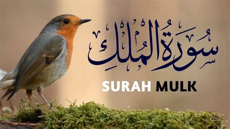 Surah Al Mulk 067 Full Quran Tilawat Beautiful Recitation Full Hd With