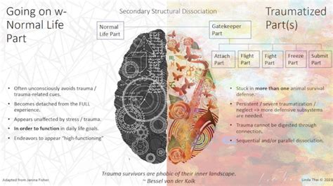 Structural Dissociation Theory. The structural dissociation model (SDM)… | by Dr. Chris Deussing ...