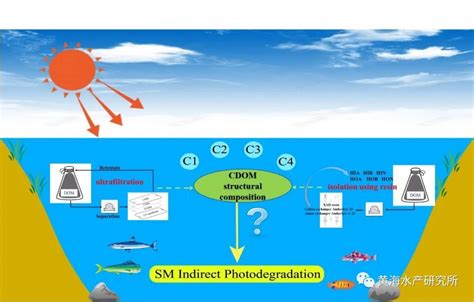 溶解有机物影响抗生素光降解机理研究获进展新闻科学网