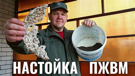 НАСТОЙКА ПЖВМ - YouTube