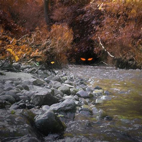 barrens photograph  jason fink pixels