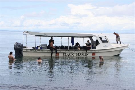 Black Marlin Dive Resort, Togian Islands - Central Sulawesi