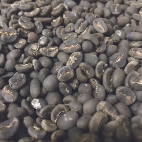 Jual Green Bean Arabika Aceh Gayo Semi Wash Grade Jakarta Barat