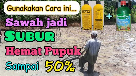 Petani Wajib Tahu Cara Menyuburkan Tanah Pesawahan Dan Cara