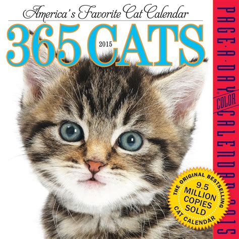 365 Cats Page A Day Calendar 2017 8