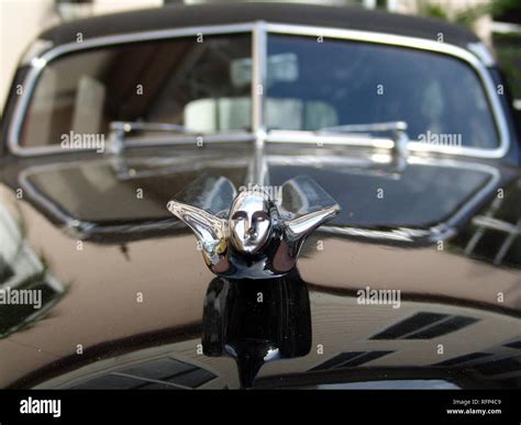 54er Cadillac, hood ornament, Florida, USA Stock Photo - Alamy