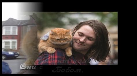 Уличный кот по имени Боб - YouTube