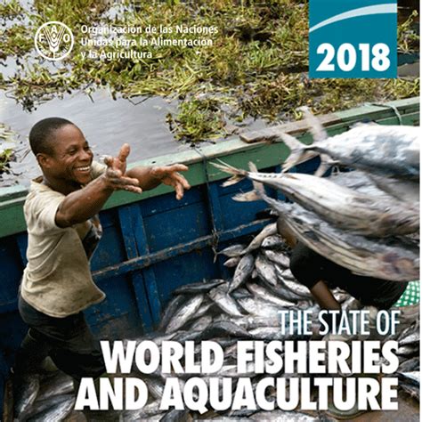 Consumo de pescado en América Latina y el Caribe crecerá en Bayano digital