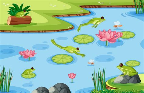 Many Green Frogs In The Pond Scene 1949372 Vector Art At Vecteezy