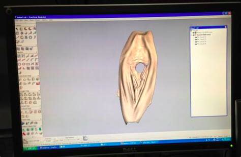 Japanese Artist Arrested After Turning D Rendering Of Her Vagina Into A Kayak The Atlantic