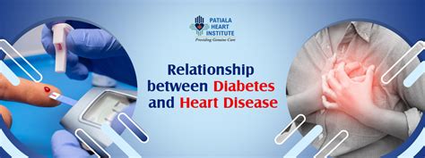 Relationship Between Diabetes And Heart Disease Patiala Heart