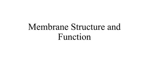 Membrane Structure And Function Answers