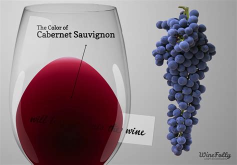 The Guide to Cabernet Sauvignon Red Wine | Wine Folly