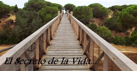 Trazos de mis Escritos y Lecturas: El Secreto de la Vida...