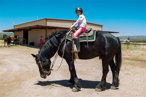 horseback riding camp tuku