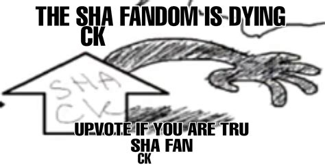 2528 Best Sammy Images On Pholder Samoyeds Aww And Food Porn