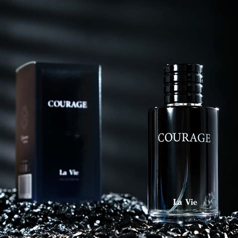 Парфюмерная вода мужская Dilis La Vie Courage 100мл 27-442/3 купить в ...