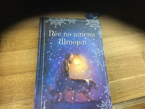 Книга: Рождественские истории. Пёс по имени Шторм - Холли Вебб. Купить ...