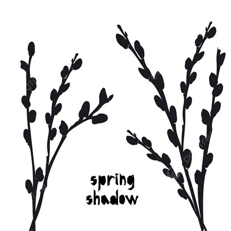 Black Pussy Willow Print On White Background For Fabric And Fashion Design Vector Bud Print