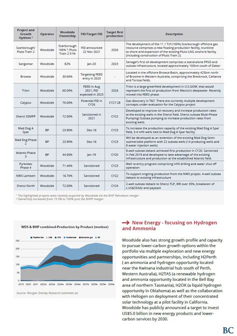 Investment Briefing Woodside Energy Group WDS