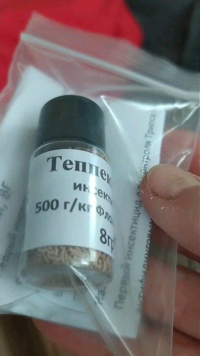 Лучшее средство от белокрылки. Видео для садоводов. - YouTube