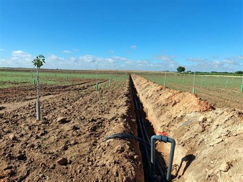 Cómo instalar un riego por goteo en una parcela