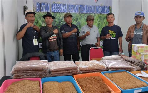 Petani Tembakau Di Sumedang Minta Optimalkan Sapras Dari DBHCHT Tahu